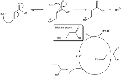 Proposed mechanism for the nucleophile mediated hydrothiolation of an acrylic carbon–carbon bond under phosphine catalysis.