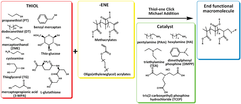 Summary of the different thiols, thiol–enes and catalysts investigated in this study.