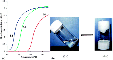 The thermoresponsive properties of PEGMEMA-MEO2MA-EGDMA copolymers (S2, S3 and S4 in Table 2). (a) LCST behavior of the copolymer in 0.03% w/v deionized water determined by UV-vis spectrophotometer. (b) Polymer solution (S3 in Table 2, 40% w/v) became thermal gel when the temperature was raised above its LCST from 20 °C to 37 °C.