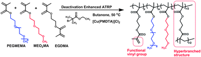 Synthesis of hyperbranched polymers via an in situ DE-ATRP copolymerisation of PEGMEMA, MEO2MA and EGDMA.