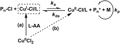 Mechanism of in situ deactivation enhanced atom transfer radical polymerisation. (a) In situ produced CuI species from CuII species by reducing agent l-ascorbic acid (L-AA). (b) A small amount of L-AA addition ensures the excessive CuII species in the reaction system further enhance the deactivation reaction, suppress the growth rate and delay the gelation.