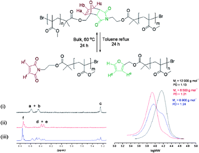 
            1H NMR of polymer (i) prior to heating, (ii) cleaved polymer following heating and (iii) reformed polymer. GPC data of (i) polymer (black), (ii) cleaved polymer (red) and (iii) the reformed polymer (blue). Reproduced with permission from ref. 78.