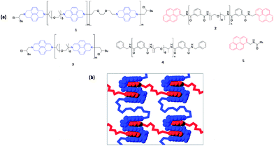 (a) Components 1 and 2 afford a π–π-stacked supramolecular polymer, while 3 and 4 are control materials lacking either, in 3, the chain-folding triethylenedioxy-diimide motif or, in 4, the terminal pyrenyl residues. (b) Schematic showing the potential for non-covalent cross-linking of polyimide chains by multiple intercalation of π-electron-rich pyrenyl end-groups (red) into designed polyimide chain-folds (blue). Reproduced with permission from ref. 105.
