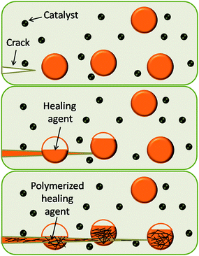 A crack forms in the matrix where the damage occurs (top), the crack ruptures the microcapsule, releasing the healing agent (middle), the healing agent contacts the catalyst, and the ROMP proceeds (bottom). Reproduced with permission from ref. 11.