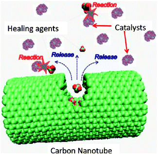 Molecular model of carbon nanotube and organic molecules for the self-healing system. Reproduced with permission from ref. 39.