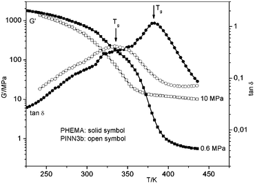 Dynamic mechanical analysis of PMMA and PINN3b (5.0 wt. % AlOOH).