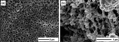 Scanning electron microscopy images of the PINN1b (9.9 wt. % AlOOH) sample after etching the AlOOH network; (a) the surface of the etched sample after washing and drying under vacuum, (b) the inner structure of the porous material can be observed on artificial fractures.