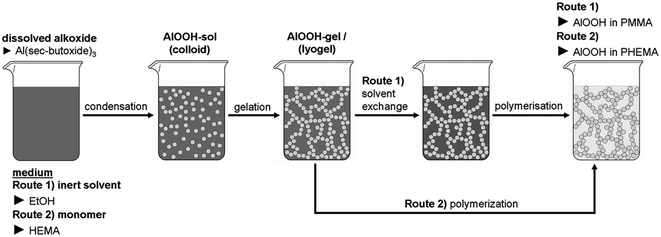 An illustration of two possible procedures for the preparation of polymer integrated nanoparticulate networks (PINNs).