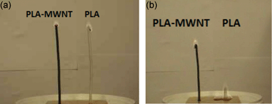 Flammability test of virgin PLA and PLA/MWNT at the ignition (a) and after 15 s (b) (from ref. 49).
