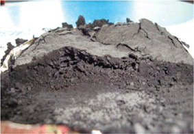 The cone calorimeter residue of PLA/6%EG (external heat flux = 35 kW m−2) (from ref. 56).