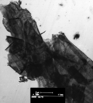 A TEM picture of cone calorimeter residue of PLA/EG (external heat flux = 35 kW m−2) (fromref. 56).