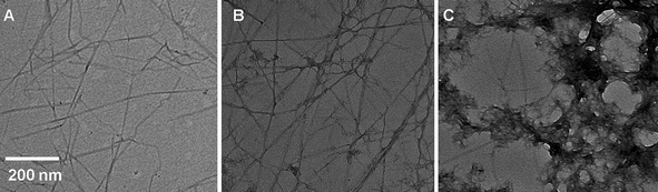 Transmission electron microscopy (TEM) images of (A) cellulose whiskers isolated from tunicates; (B) cellulose whiskers coated with PEDOT:PSS by synthesis with an EDOT : whisker ratio of 2 : 1 (w/w); and (C) cellulose whiskers coated with PEDOT:PSS by synthesis with an EDOT : whisker ratio of 9 : 1 (w/w).