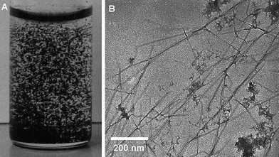 Photograph of PEDOT:TS-coated cellulose whiskers prepared at high concentration dispersed in water (A) and a transmission electron microscopy (TEM) image of PEDOT:TS-coated whiskers prepared under dilute concentration (B).