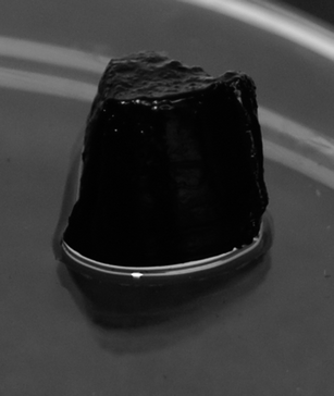 A picture of a PEDOT:PSS-coated cellulose whisker gel produced from an 8 mg mL−1 aqueous dispersion of whiskers (2 : 1 w/w EDOT : whisker ratio) via solvent-exchange with acetone.