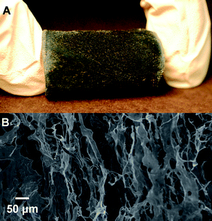 (A) An image of a PEDOT:PSS-coated cellulose whisker aerogel produced from a 6 mg mL−1 aqueous dispersion of whiskers (2 : 1 (w/w) EDOT : whisker ratio). (B) A SEM image of the same material.