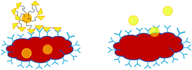 Ligand-targeted therapeutics. The uptake by the cell via receptor-mediated endocytosis with multivalent interactions (left) and therapeutics without targeting ligands, the internalization by the cell via slow fluid-phase pinocytosis (right).