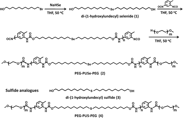Synthetic procedure for the selenide block copolymers and their sulfide analogues.