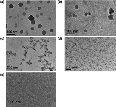 TEM (a) and cryo-TEM (b) images of PEG-PUSe-PEG copolymer micelles; TEM images of the aggregates after 2 h (c) and 5 h (d) oxidation in 0.1% H2O2 solution; cryo-TEM image of the oxidized aggregates after 5 h (e).