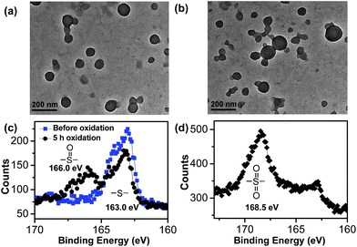 TEM images of PEG-PUS-PEG aggregates before (a) and after an oxidation in 0.1% H2O2 for 5 h (b), and XPS studies of the PEG-PUS-PEG copolymers and the products upon oxidation in 5 h (c) and 24 h (d).