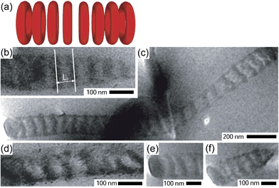 (a) A schematic representation of a stacked toroid morphology. (b)–(f) TEM images of fibers cut parallel to the fiber axis consistent with a stacked toroid morphology. The image in (b) shows how the characteristic structural repeat distance, L0, was determined.