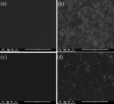 SEM images of PLGA (85 : 15) with (a) 5 wt% of 5 with 8, (b) 2.5 wt% of 5 with 8, (c) 7.5 wt% 6 with 9, and (d) 5 wt% 6 with 9.