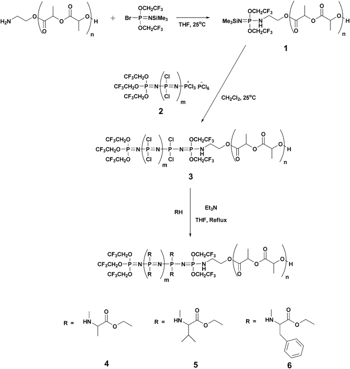 Synthesis of polylactide–alanine substituted polyphosphazene block copolymer.