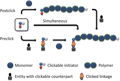 Schematic representation of the strategies using clickable initiators.