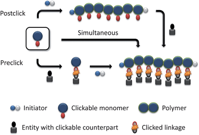 Schematic representation of the strategies via clickable monomers.
