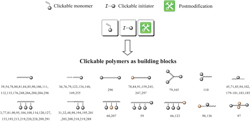 Schematic representation of clickable polymers:  = polymer chain; ,  = orthogonal click functionalities,  = block segments.