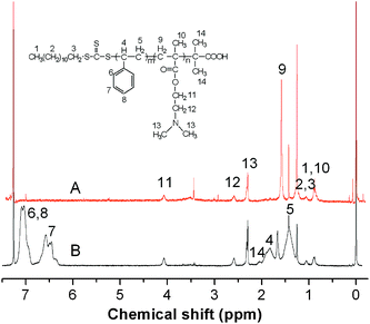 
            1H NMR spectra of the synthesized shell cross-linked nanoparticles (A), PDMAEMA-b-PS (B) in CDCl3.