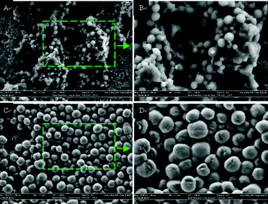 FE-SEM images of PDMAEMA-b-PS (A, B) and the synthesized shell cross-linked nanoparticles (C, D). All scale bars are 200 nm.