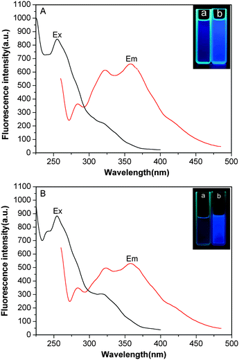 Excitation and emission spectra for PDMAEMA-b-PS (A) and the synthesized shell cross-linked nanoparticles (B) samples.