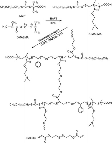 The synthetic pathway for the fabrication of the shell cross-linked (SCL) nanoparticles via miniemulsion RAFT polymerization.