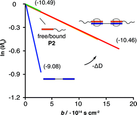 A Stejskal-Tanner plot showing a two-component system consisting of P2 (Mn = 19,000 g mol−1) and MVdimer prior to adding CB[8], and the five-component ternary complex after CB[8] addition. The change in DMVdimer upon CB[8] addition is especially marked (curled arrow). Slopes (log D/m2 s−1) are shown in brackets. Key: MVdimerfree (blue), P2free (green), MVdimerbound (yellow) and P2bound (red). 500 MHz, D2O at 20 °C. b = 4π2 ·γ2 · Gi2 ·δ2 ·(Δ − δ/3)·1 × 10−5.