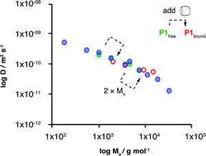 A log-log molecular weight calibration graph plotting D of commercially available HO-PEGs (Mn = 200–20,000 g mol−1, blue) with an overlay of P1free (Mn = 1100–8000 g mol−1, green), and the 2 : 1 : 2 ternary complex upon CB[8] addition (Mn = 2200–16,000 g mol−1, hollow red). D2O at 27 °C (400 μM MVdimer in all samples).