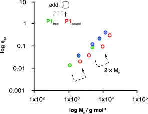 A log-log plot of specific viscosity (ηsp) against molecular weight for commercially available HO-PEGs (Mn = 1100–12,000 g mol−1, blue) with an overlay of P1free (Mn = 1100–8000 g mol−1, green), and the 2 : 1 : 2 ternary complex upon CB[8] addition (Mn = 2200–16,000 g mol−1, hollow red). H2O at 30 °C (546 μM MVdimer in all samples).