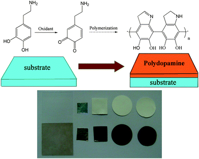 Multifunctional coating formation by oxidant-induced dopamine polymerization (left to right: glass, Al, polyethersulfone, nylon and cellulose).