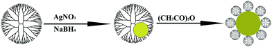 A schematic illustration of the preparation of Ag DSNPs.