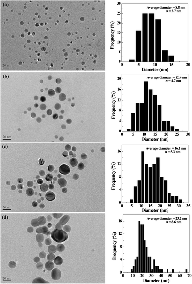 TEM images and size distribution histograms of [(Ag0)25-G5.NHAc] (a), [(Ag0)50-G5.NHAc] (b), [(Ag0)75-G5.NHAc] (c), and [(Ag0)100-G5.NHAc] (d) DSNPs, respectively.