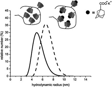 Hydrodynamic volume of poly(methacrylate cyclodextrin) 7 in DMF solution before (—) and after () complexation with adamantly carboxylates (polymer concentration = 10 g L−1, 25 °C). Reprinted with permission from ref. 35. Copyright 2008 American Chemical Society.