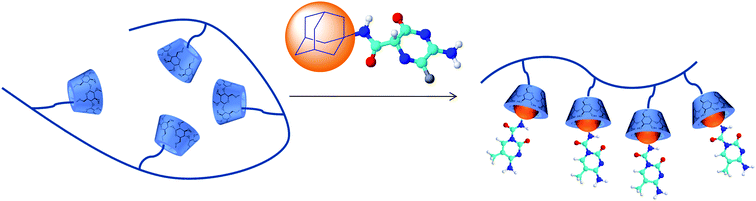 General structure of supramolecular polymer containing adamantyl modified 5-FU.53