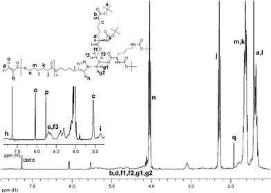 
          1H NMR spectrum of MM 3.