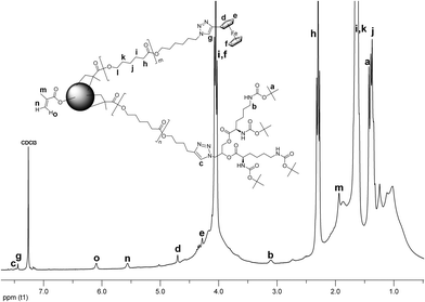 
          1H NMR spectrum of CCS 13.