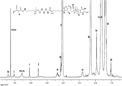 
          1H NMR spectrum of MM 7.