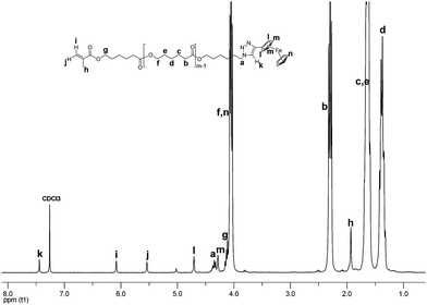 
          1H NMR spectrum of MM 8.