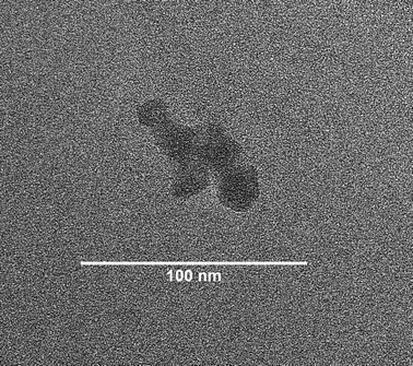 TEM image of CCS 11 obtained after removal of the insoluble matter.