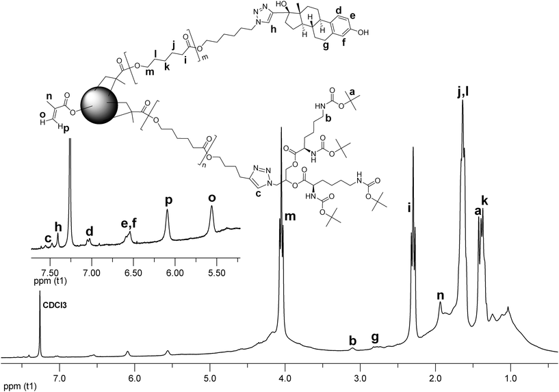 
          1H NMR spectrum of CCS 12.