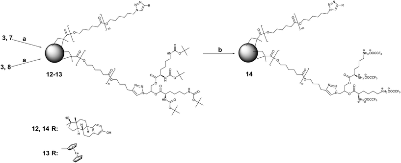 Synthesis and deprotection of miktoarm CCS copolymers bearing surficial E2 and ferrocene. Reagents and conditions: (a) BDMA, CuBr/HMTETA, EBiB, 50 °C, toluene; (b) TFA, CH2Cl2.