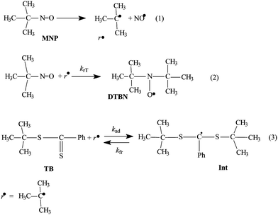 The reactions taking place upon irradiation of the MNP–TB–benzene system at 20 °C.