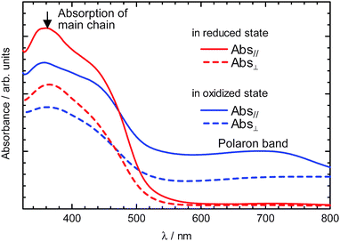 Linear polarized optical absorption spectra of the polymer film in the reduced state (blue) and the oxidized state (red) with the oscillation plane of the incident polarized light parallel (solid line) and perpendicular (dashed line) to the rubbing direction.